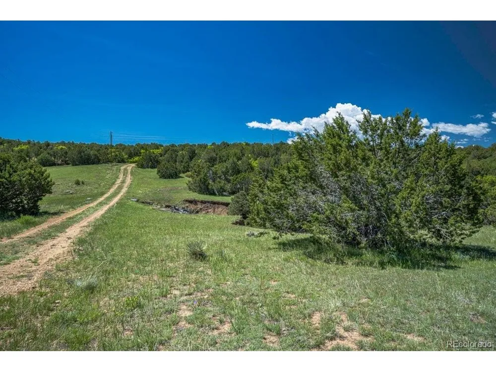 324 Chaps Court Walsenburg, CO 81089