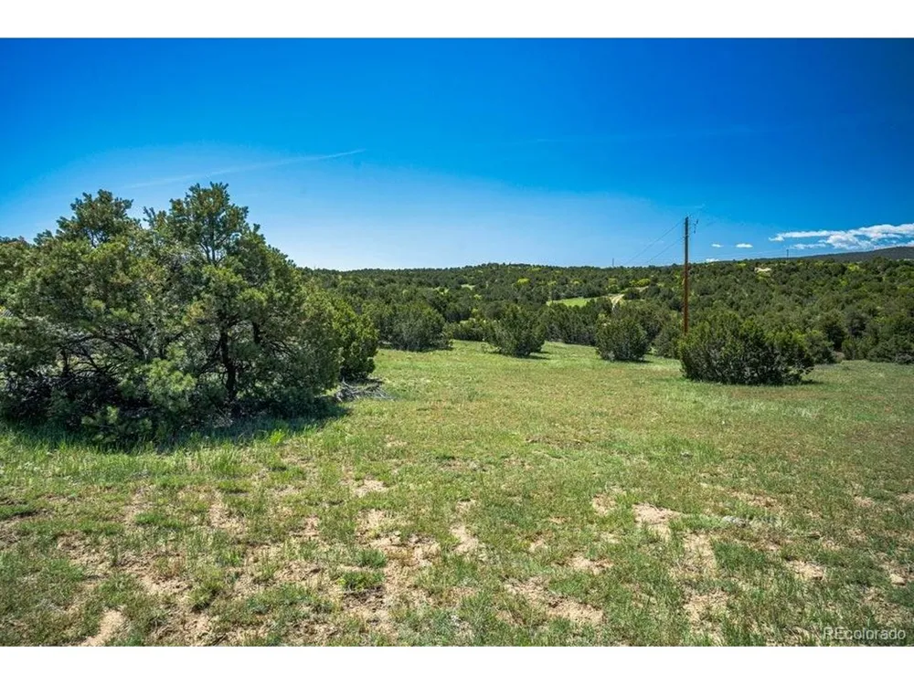 324 Chaps Court Walsenburg, CO 81089