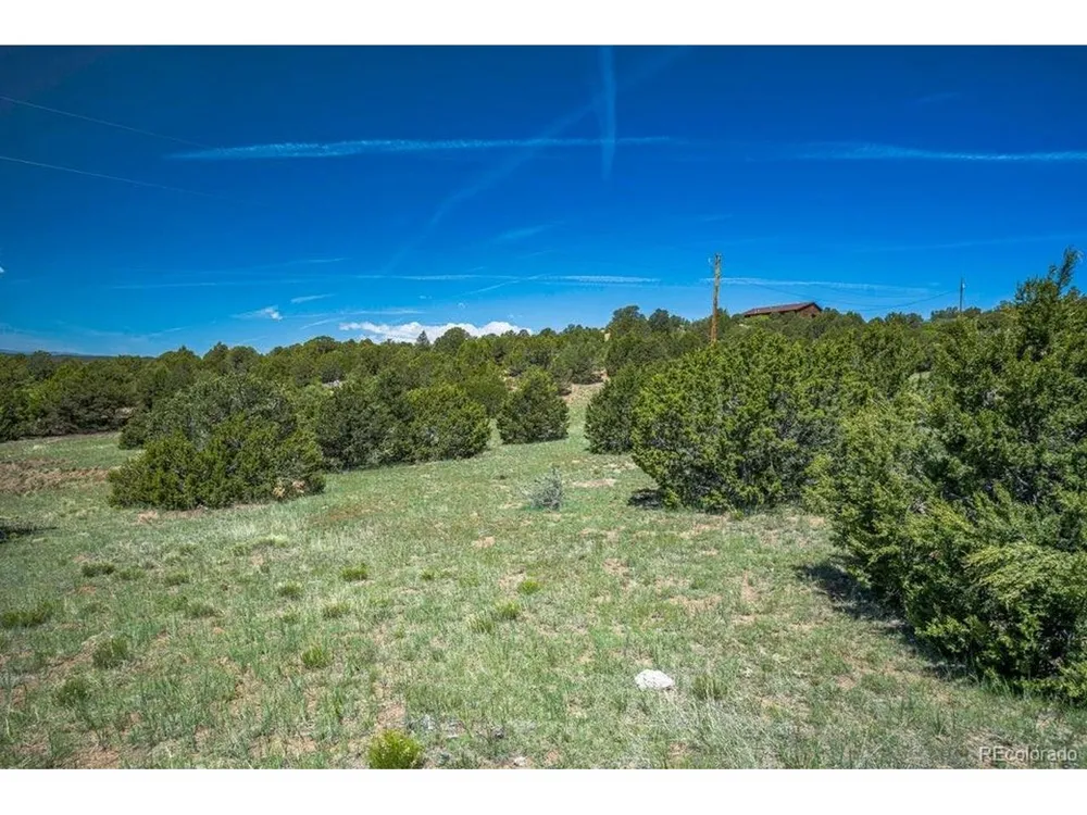 324 Chaps Court Walsenburg, CO 81089