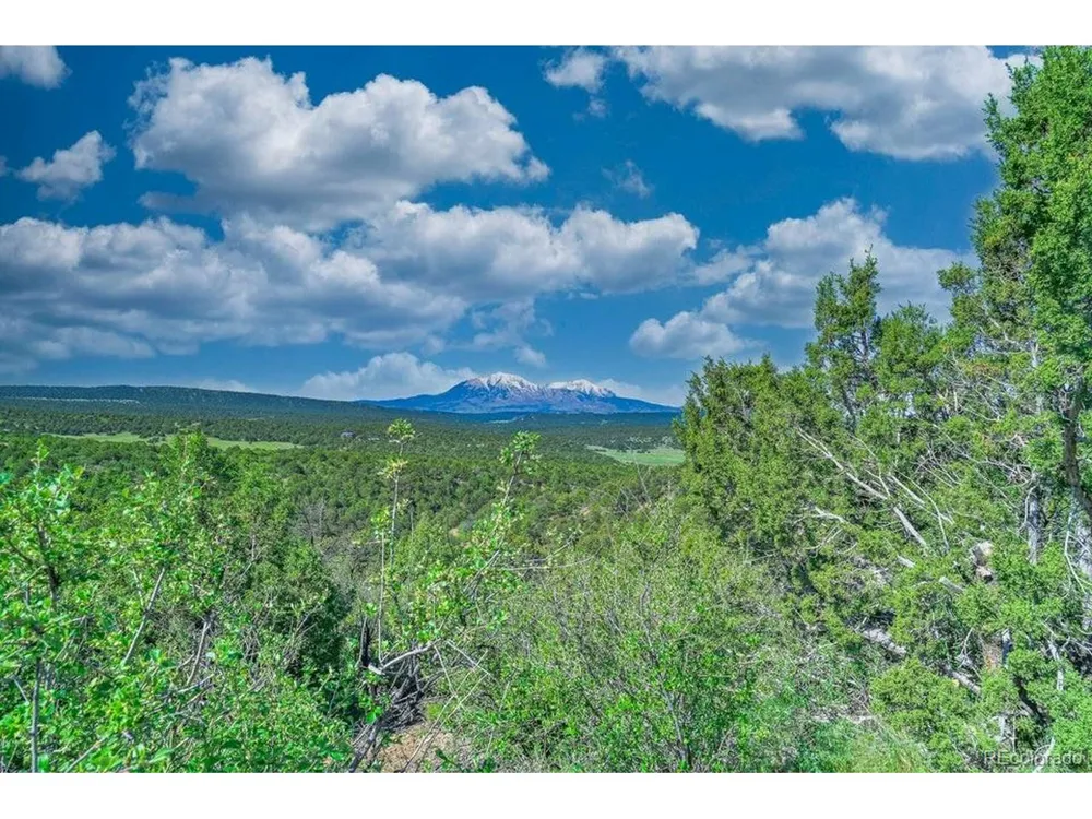 324 Chaps Court Walsenburg, CO 81089