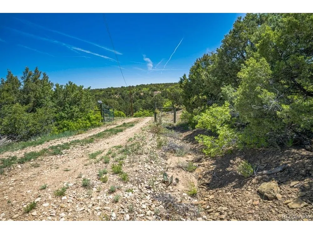 324 Chaps Court Walsenburg, CO 81089