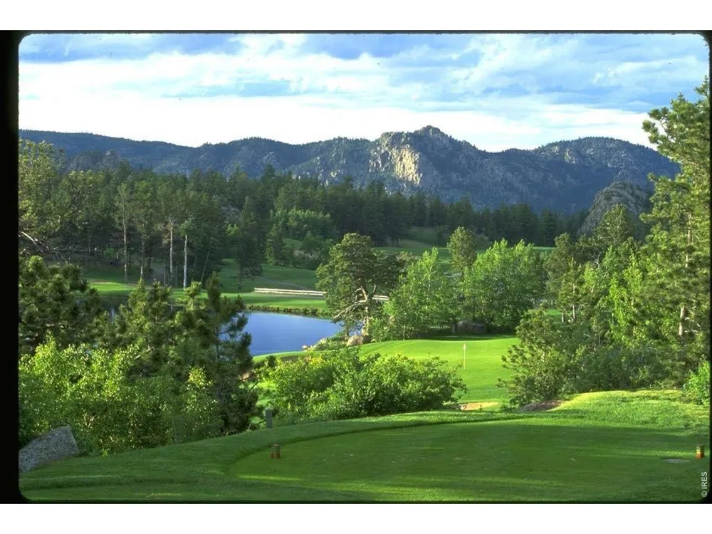 146 Ponderosa Court Red Feather Lakes, CO 80545