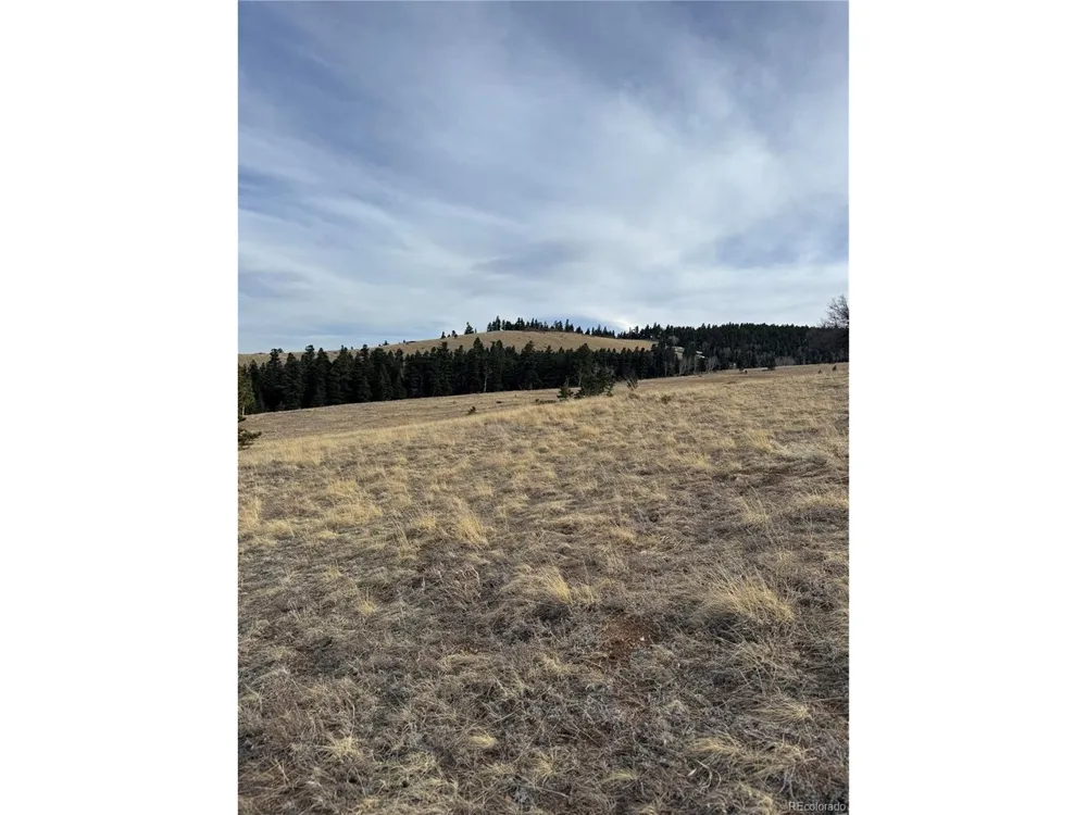 0 Louisiana Ridge Westcliffe, CO 81252