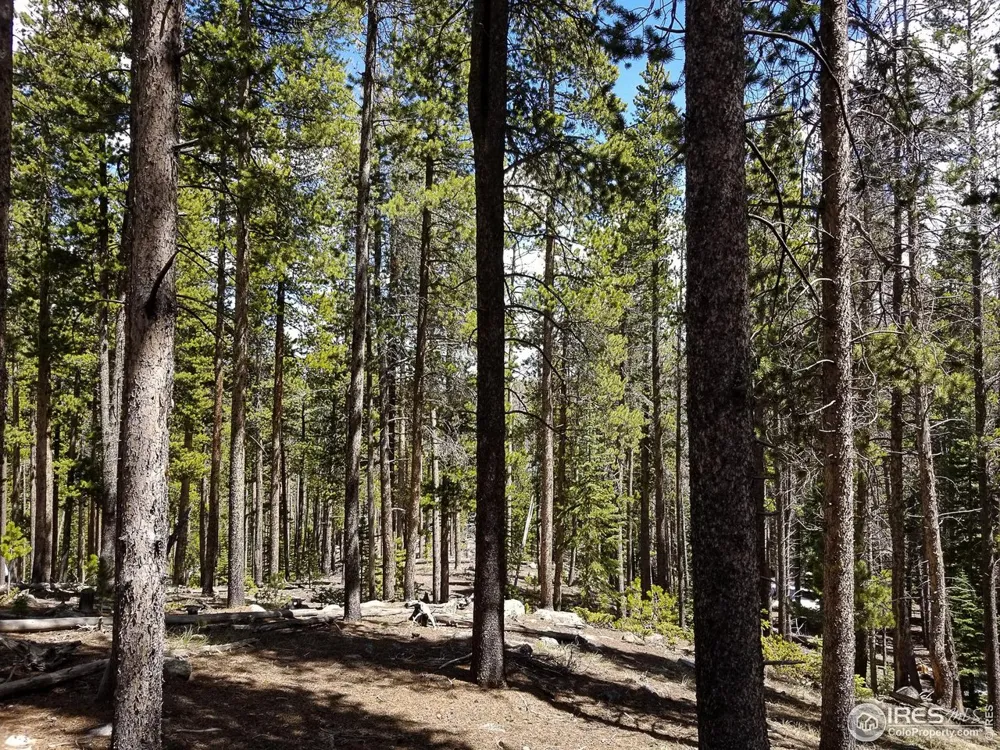 274 Arapahoe Way Red Feather Lakes, CO 80545