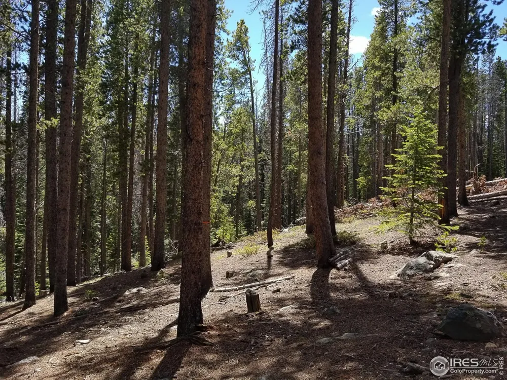 274 Arapahoe Way Red Feather Lakes, CO 80545