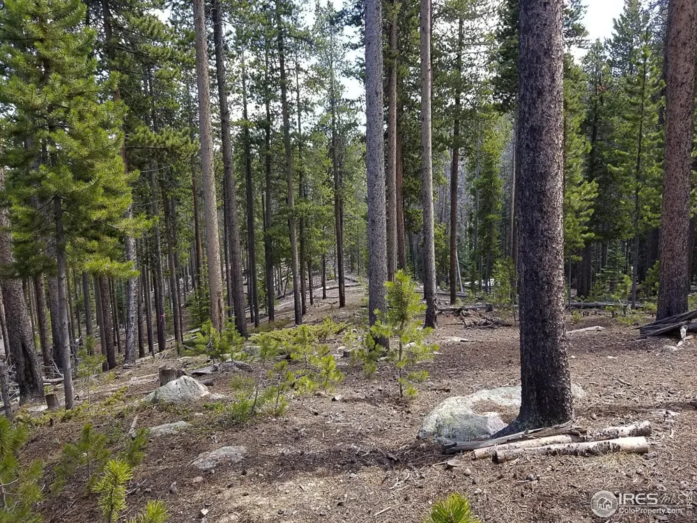 274 Arapahoe Way Red Feather Lakes, CO 80545