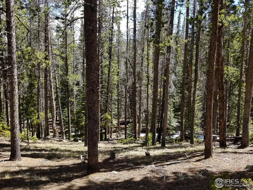 274 Arapahoe Way Red Feather Lakes, CO 80545