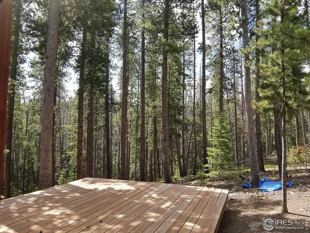 274 Arapahoe Way Red Feather Lakes, CO 80545