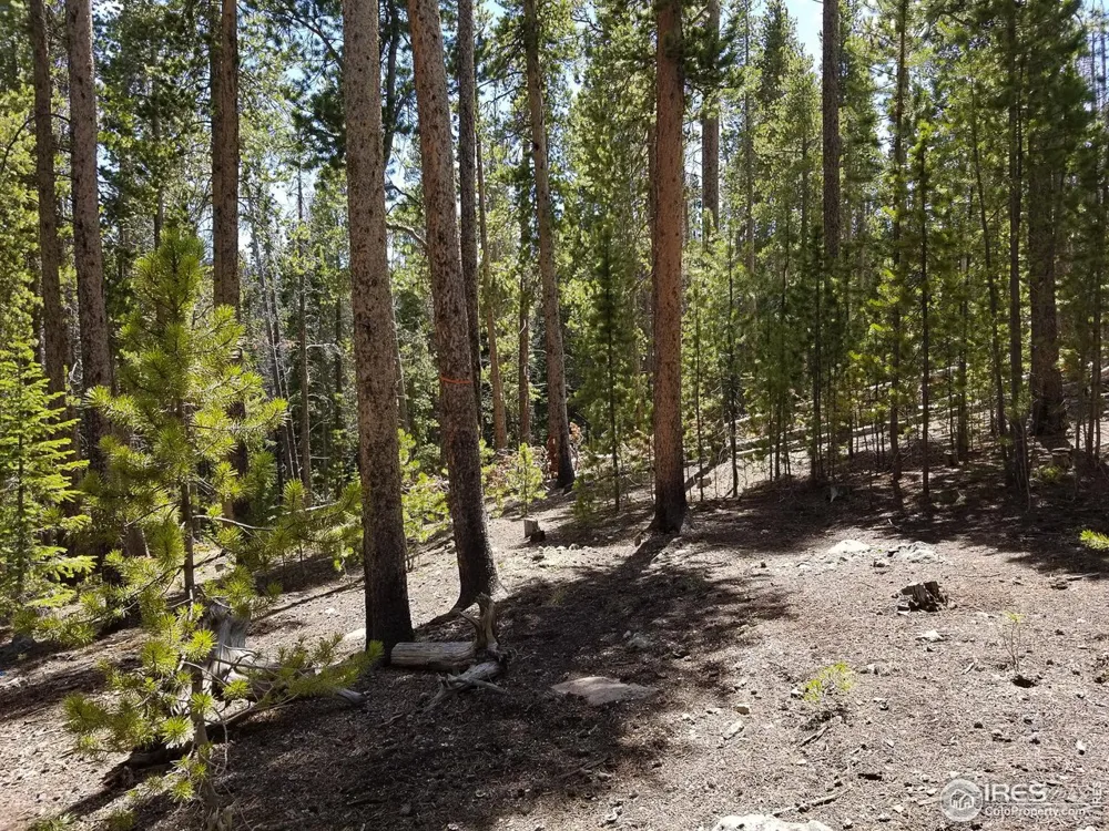 274 Arapahoe Way Red Feather Lakes, CO 80545