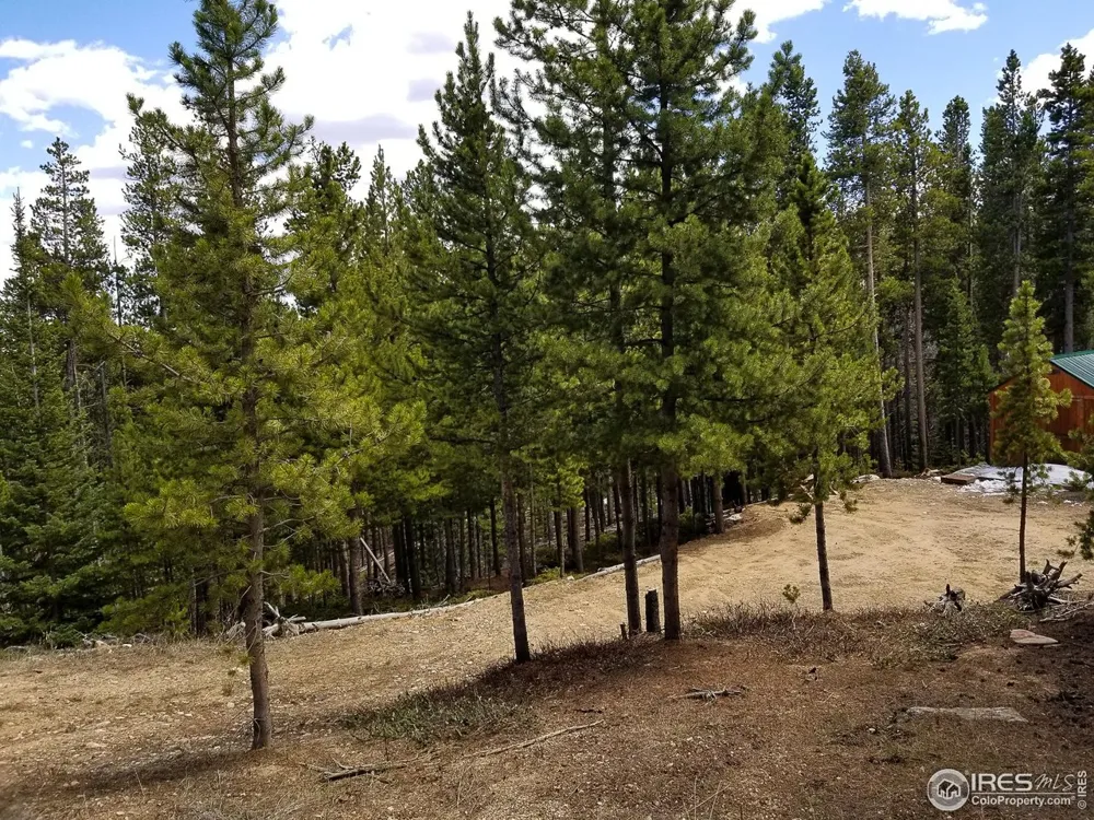 274 Arapahoe Way Red Feather Lakes, CO 80545