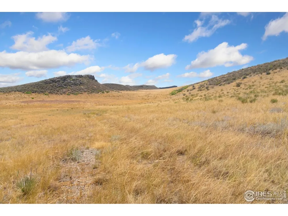 0 Dakota Valley Drive Laporte, CO 80535
