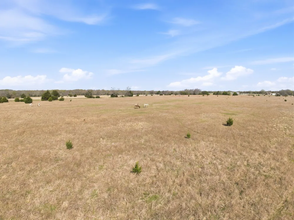 2004 E Main Street Campbell, TX 75422