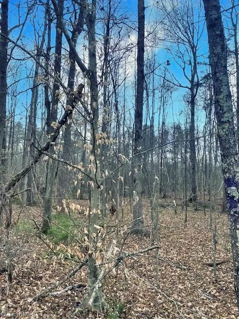 0 Parham Road Roxboro, NC 27574