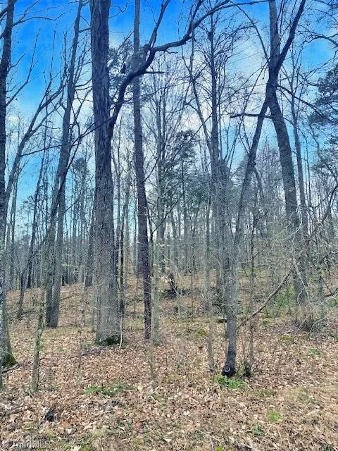 0 Parham Road Roxboro, NC 27574