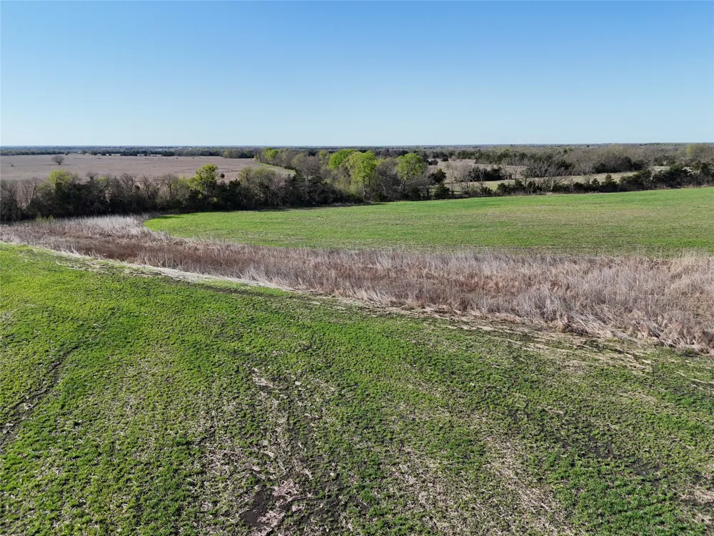 15 FM 198 Enloe, TX 75441