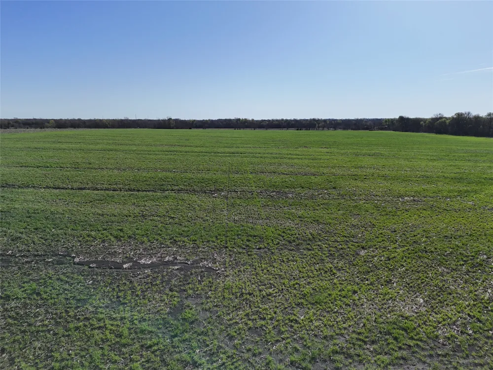 15 FM 198 Enloe, TX 75441