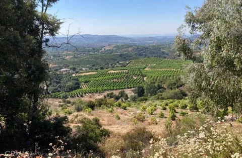 37 El Calamar Road