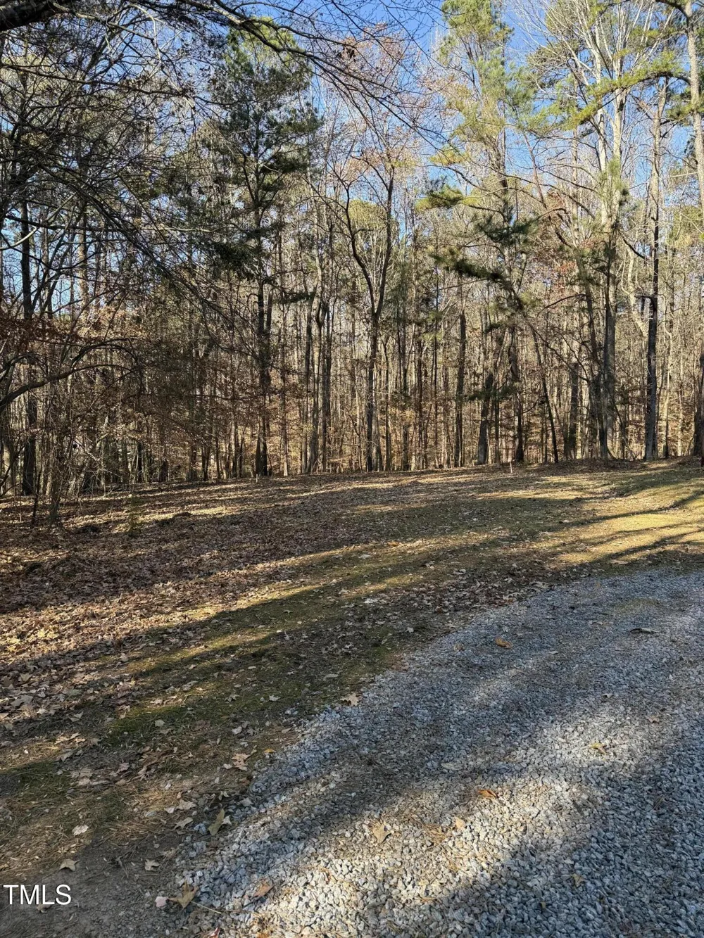 0 Laurel Court Littleton, NC 27850