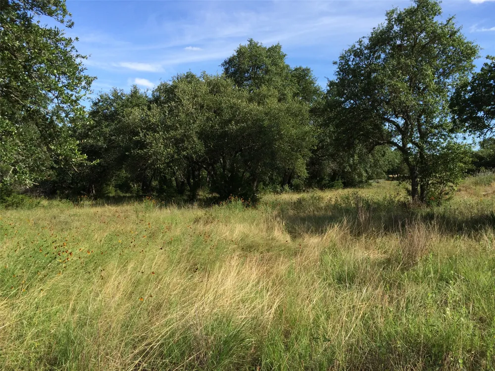 934 Beauchamp Road Dripping Springs, TX 78620