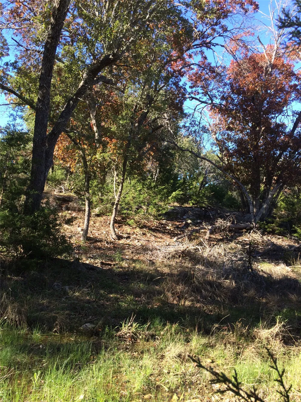 934 Beauchamp Road Dripping Springs, TX 78620