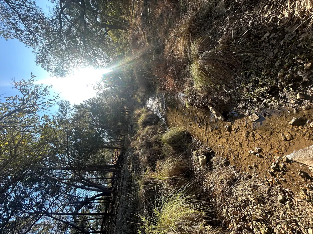 934 Beauchamp Road Dripping Springs, TX 78620