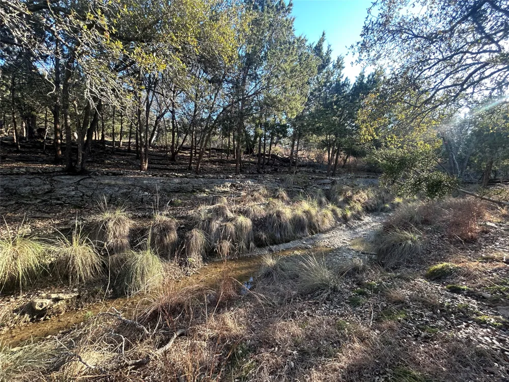 934 Beauchamp Road Dripping Springs, TX 78620
