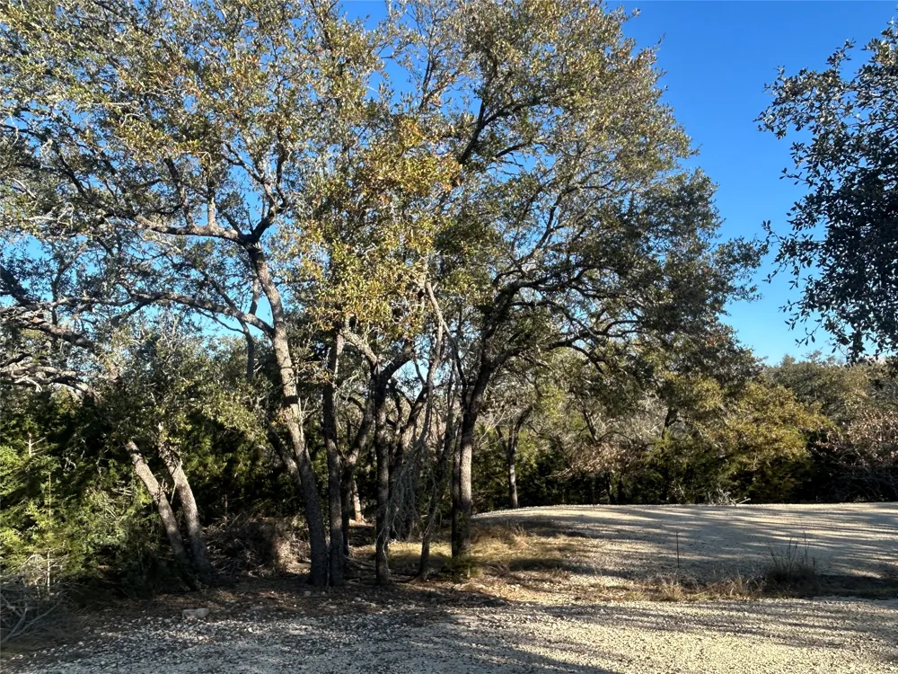 934 Beauchamp Road Dripping Springs, TX 78620