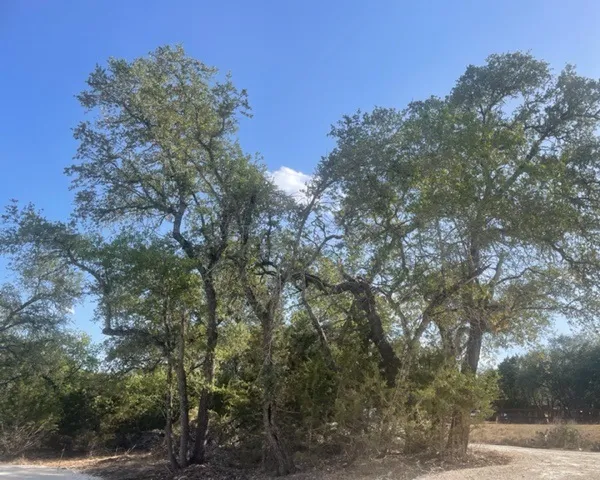 934 Beauchamp Road Dripping Springs, TX 78620