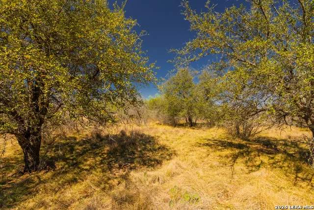 726 Tierra Linda Concan, TX 78838