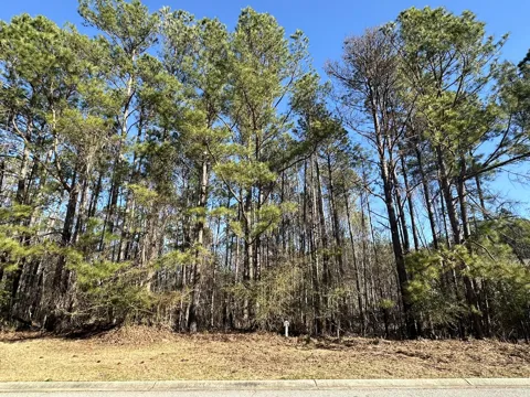 1048 Longstreet Place