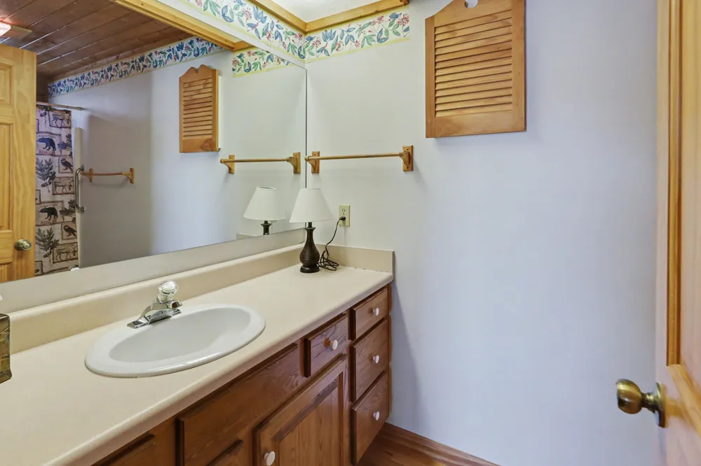 437 High Point Drive Scaly Mountain, NC 28775