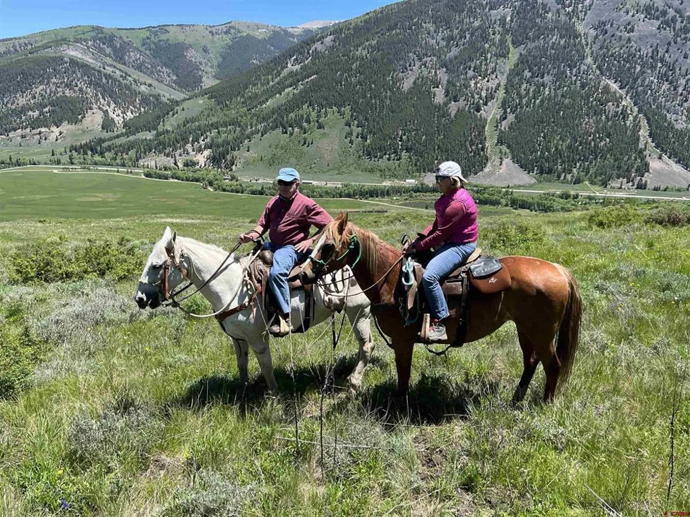 88 Caddis Drive Crested Butte, CO 81224