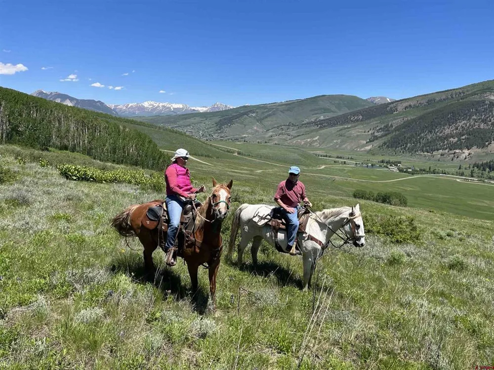 88 Caddis Drive Crested Butte, CO 81224