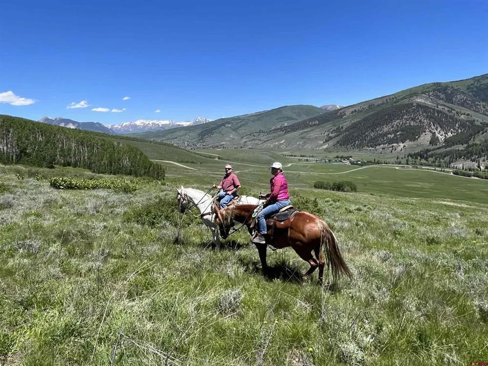 88 Caddis Drive Crested Butte, CO 81224