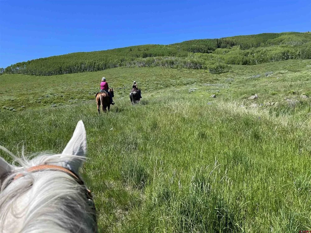88 Caddis Drive Crested Butte, CO 81224