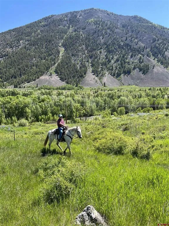 88 Caddis Drive Crested Butte, CO 81224