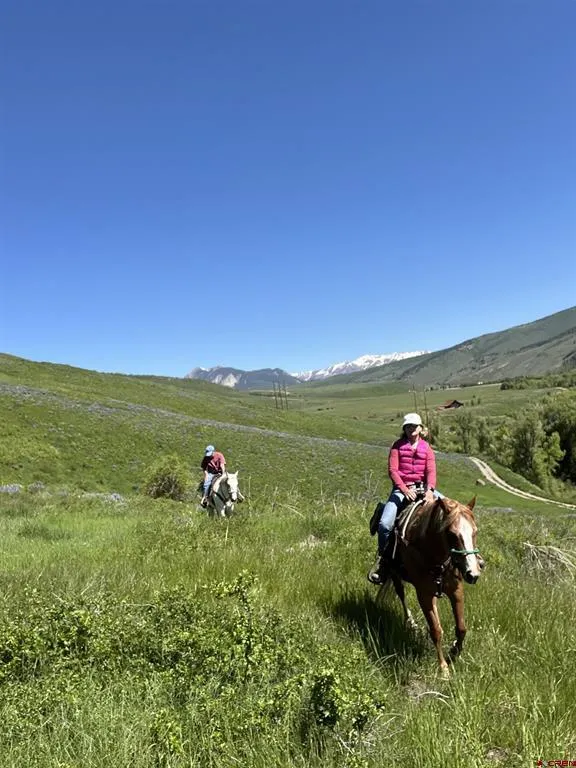 88 Caddis Drive Crested Butte, CO 81224