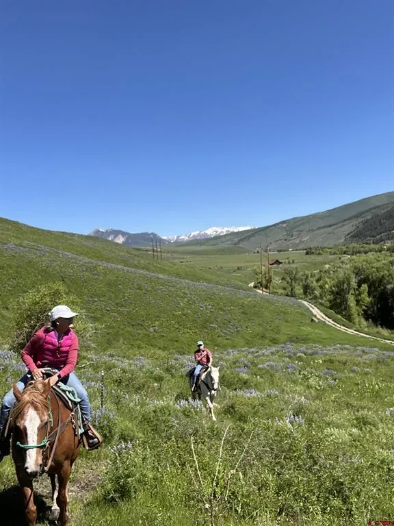 88 Caddis Drive Crested Butte, CO 81224