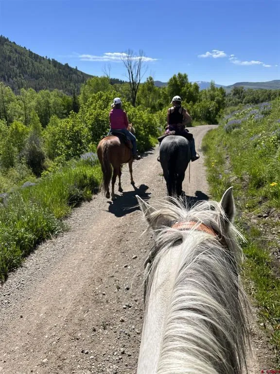 88 Caddis Drive Crested Butte, CO 81224