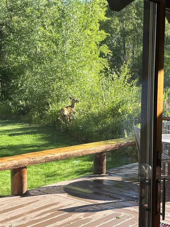 88 Caddis Drive Crested Butte, CO 81224
