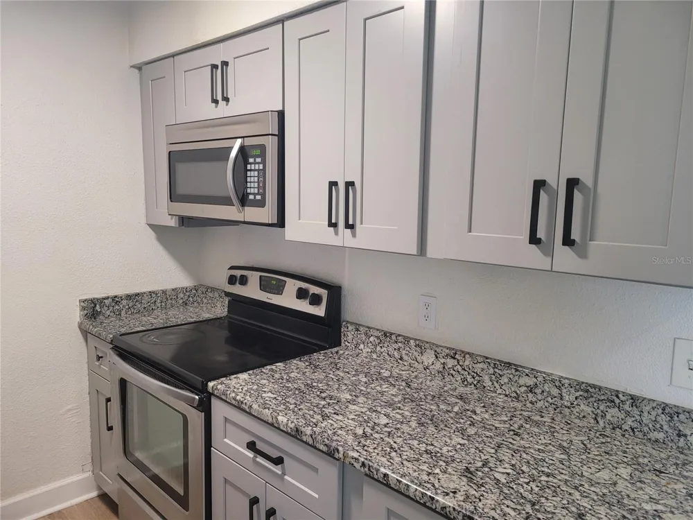 1236 DOVEHILL DRIVE #1248 Apopka, FL 32703
