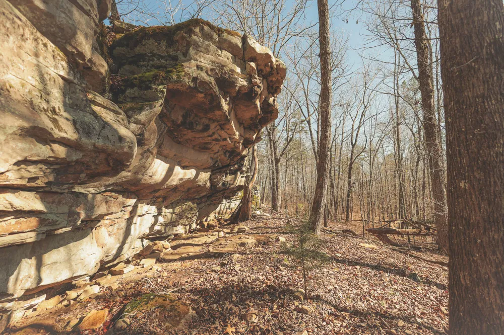 12733 Jones Gap Road Soddy Daisy, TN 37379