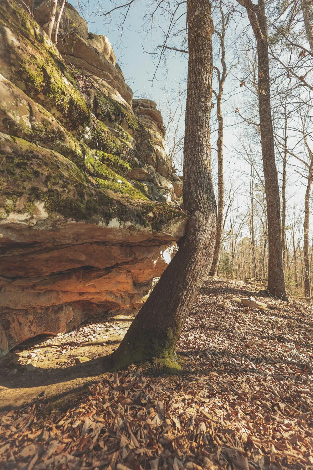 12733 Jones Gap Road Soddy Daisy, TN 37379