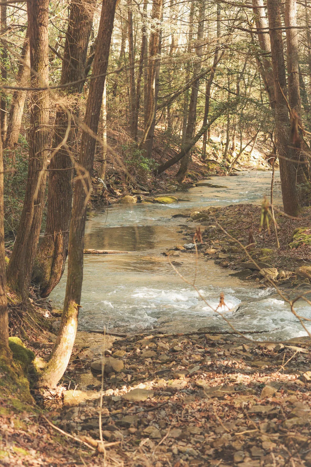 12733 Jones Gap Road Soddy Daisy, TN 37379