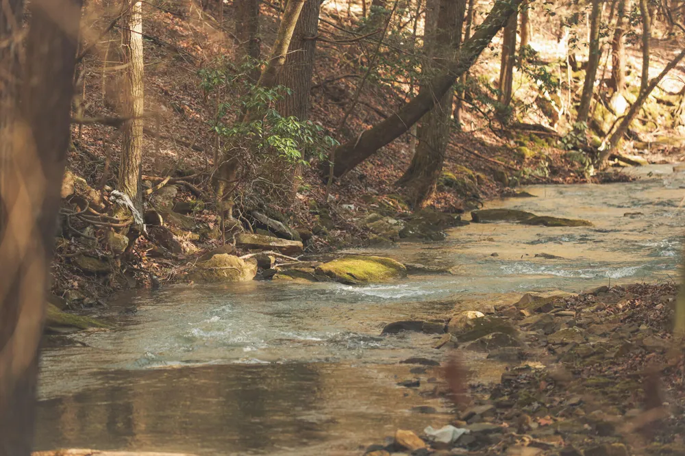 12733 Jones Gap Road Soddy Daisy, TN 37379