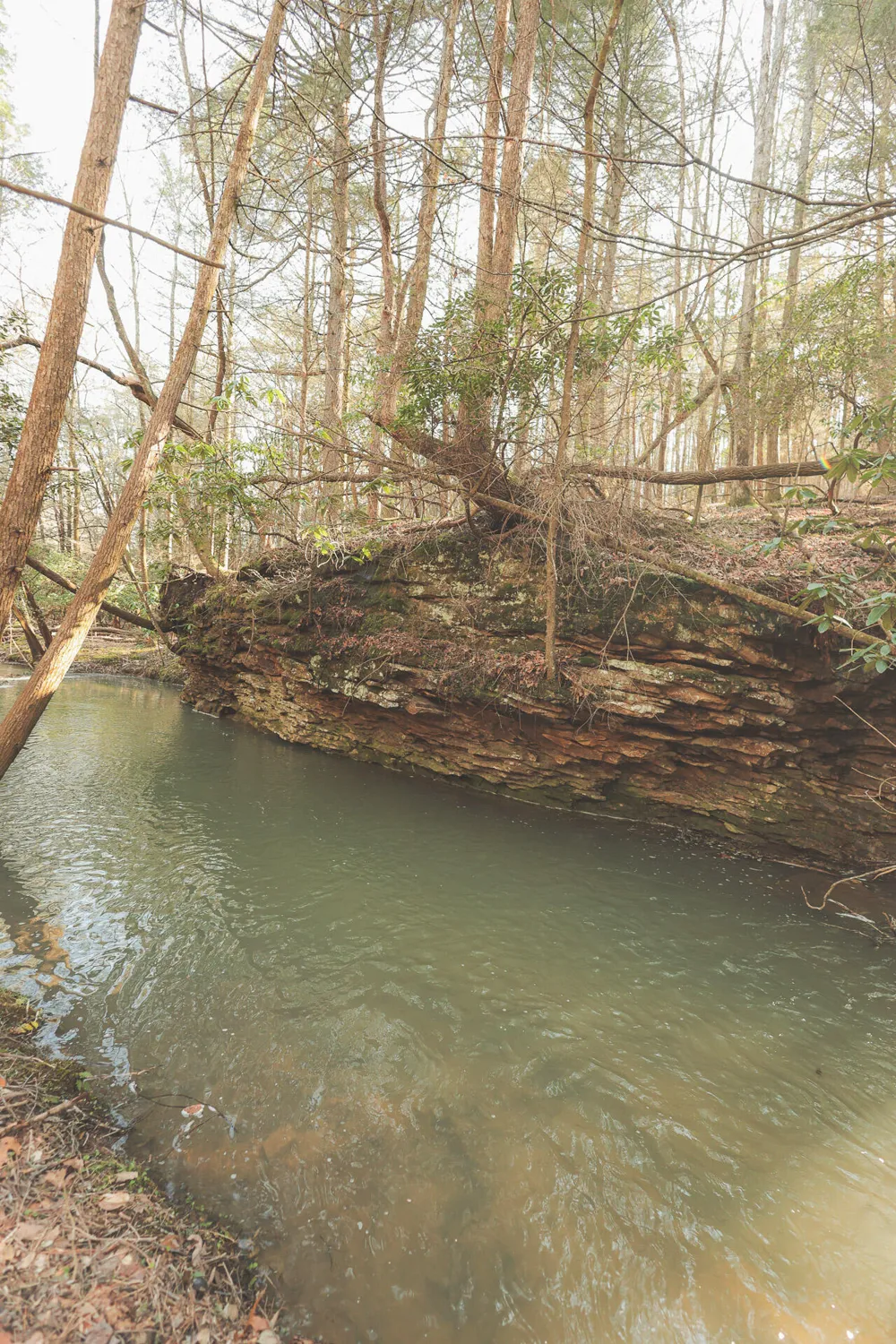 12733 Jones Gap Road Soddy Daisy, TN 37379