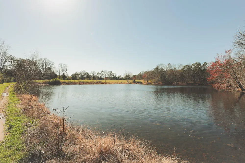12733 Jones Gap Road Soddy Daisy, TN 37379