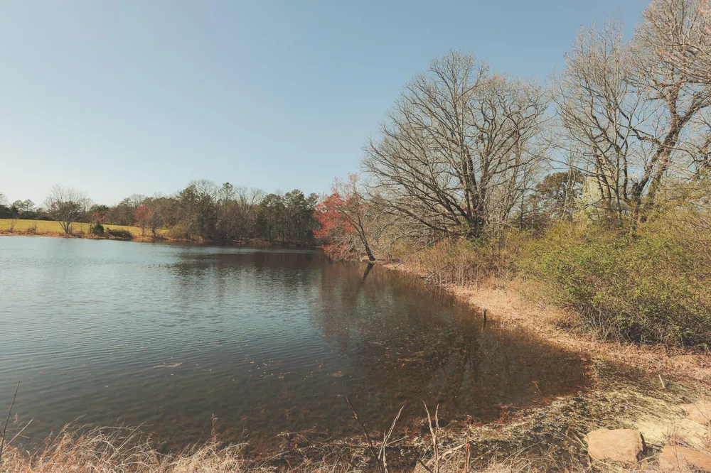 12733 Jones Gap Road Soddy Daisy, TN 37379