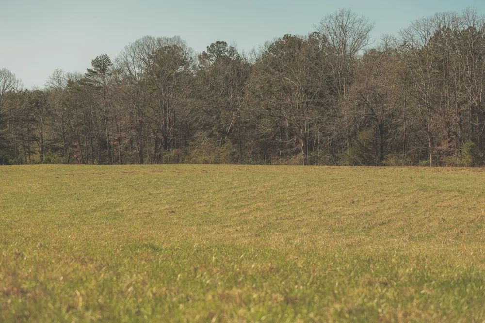 12733 Jones Gap Road Soddy Daisy, TN 37379