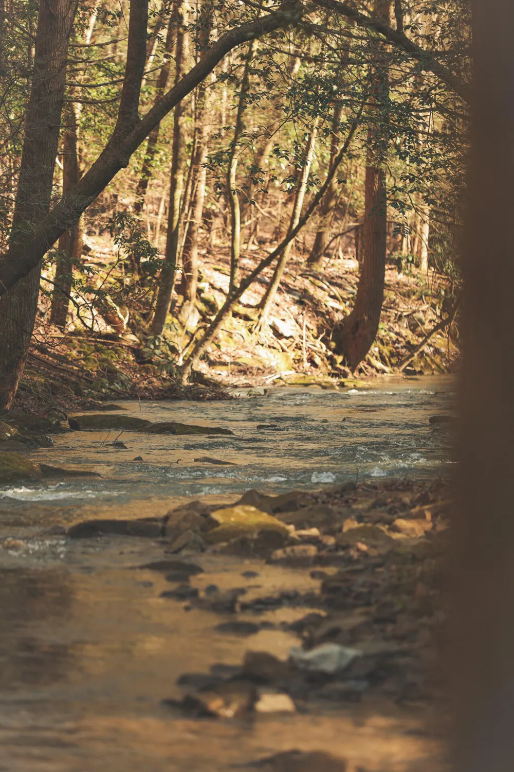 12733 Jones Gap Road Soddy Daisy, TN 37379